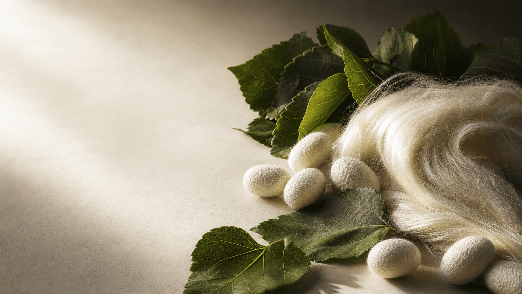 Mulberry leaves, silk fibre and cocoons